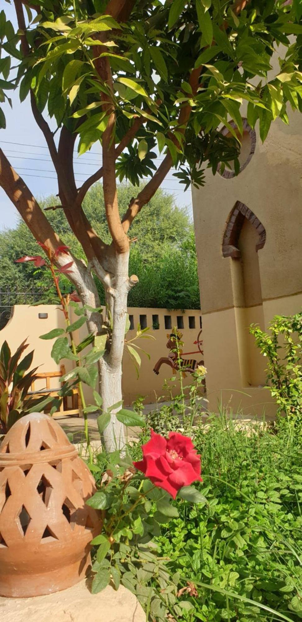 Luxor Villa Hatshepsut Kültér fotó